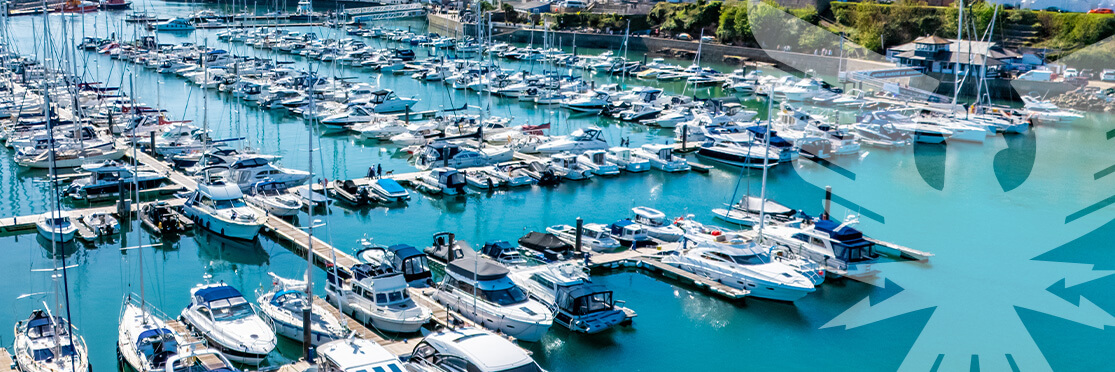 Aerial view of a marina