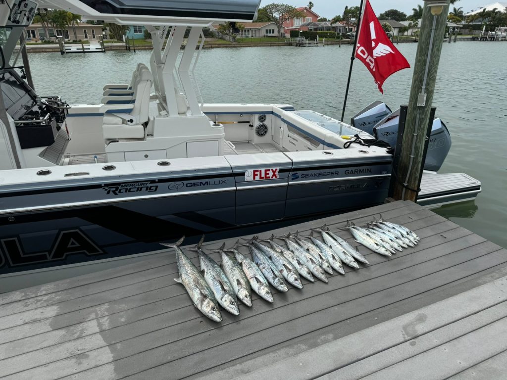 IMG 1545 1