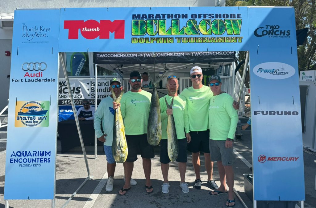 dolphin tournament